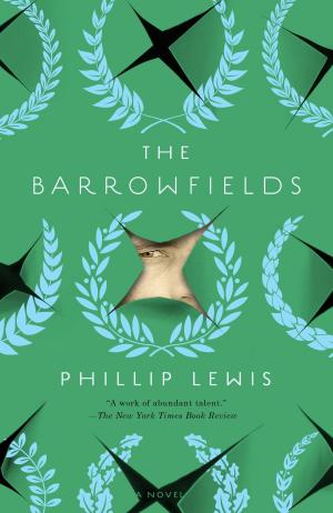 bigCover of the book The Barrowfields by 