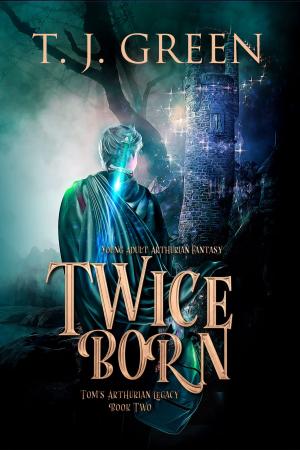 Cover of the book Twice Born by Michael Wigington