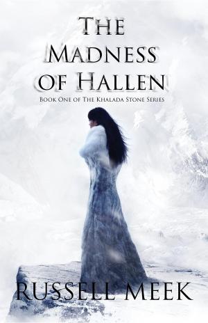 Cover of the book The Madness of Hallen by LeeAnn Flowers