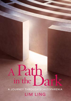 Cover of the book A Path in the Dark by Stephen Shephard