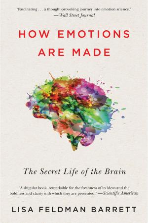 Cover of the book How Emotions Are Made by H. A. Rey