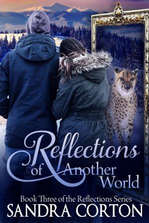 Cover of Reflections Of Another World (Reflections Series Book 3)