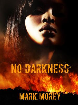 Book cover of No Darkness