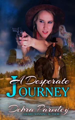Cover of the book A Desperate Journey by Sandra Madera