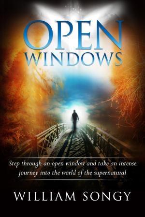 Cover of the book Open Windows by R. J. Larson