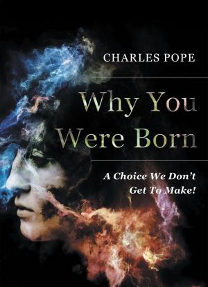Cover of the book Why You Were Born by Lonnie C. Larson