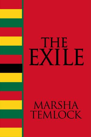 bigCover of the book The Exile by 