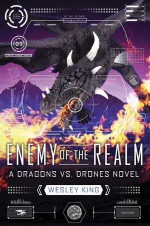 Cover of the book Enemy of the Realm by Henry Winkler, Lin Oliver, Tim Heitz