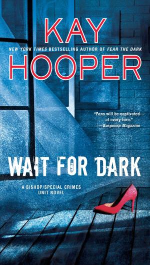 Book cover of Wait for Dark