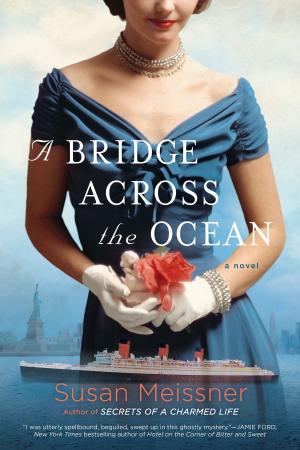 Cover of the book A Bridge Across the Ocean by Saroo Brierley