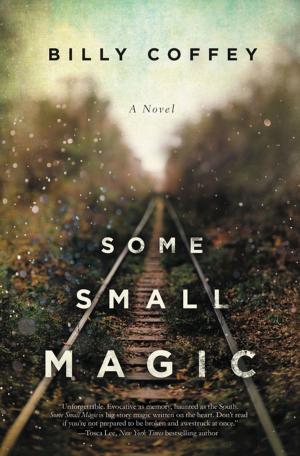 Cover of the book Some Small Magic by Joshua Ryan Butler