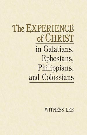 Cover of The Experience of Christ in Galatians, Ephesians, Philippians, and Colossians