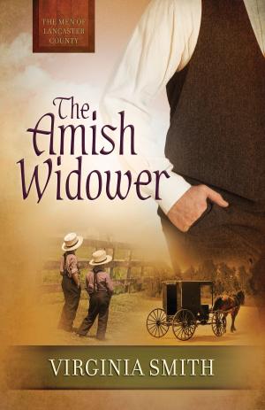 Cover of the book The Amish Widower by Melissa K. Norris