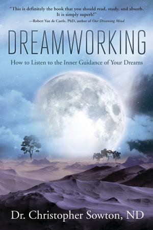 Cover of the book Dreamworking by Donald Michael Kraig