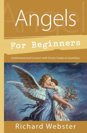 Book cover of Angels for Beginners