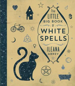 Cover of the book The Little Big Book of White Spells by Richard Webster