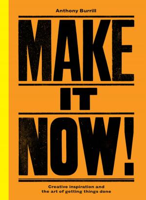 Cover of the book Make It Now! by Katie Mowat