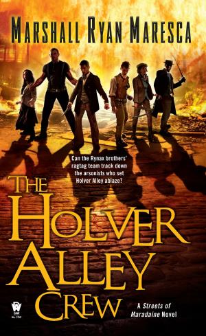 Book cover of The Holver Alley Crew