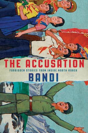 Cover of the book The Accusation by Lisa Moore