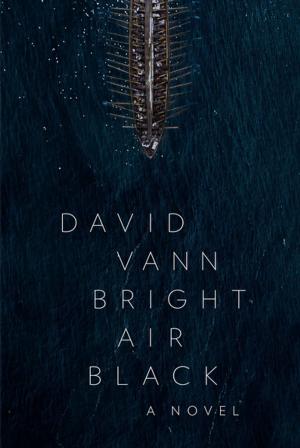 Book cover of Bright Air Black