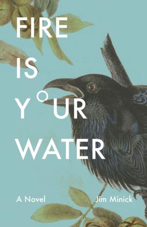 Cover of the book Fire Is Your Water by Philip J. Harold