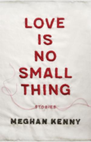 Cover of the book Love Is No Small Thing by Amy Stilgenbauer
