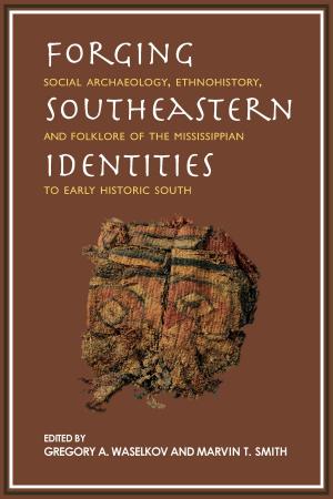 Book cover of Forging Southeastern Identities