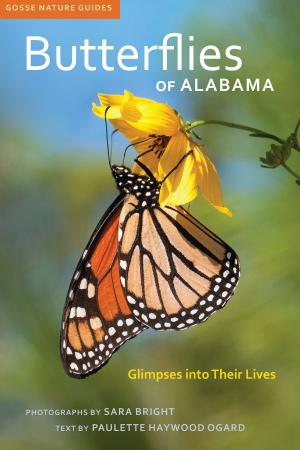 Book cover of Butterflies of Alabama
