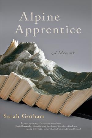 Book cover of Alpine Apprentice