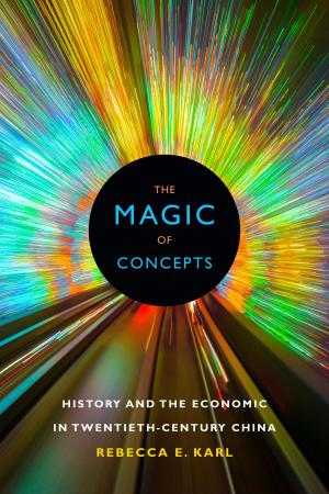 Cover of the book The Magic of Concepts by Tina M. Campt