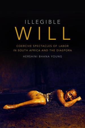 Cover of the book Illegible Will by Jeffrey M. Hornstein, Daniel J. Walkowitz