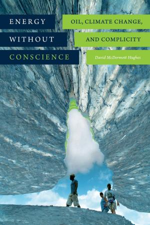 Book cover of Energy without Conscience