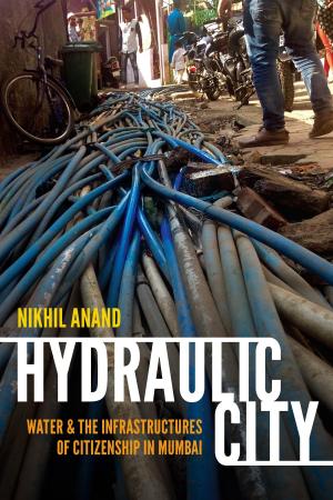 Cover of the book Hydraulic City by Vinh-Kim Nguyen, Arjun Appadurai, Jean L. Comaroff, Judith Farquhar