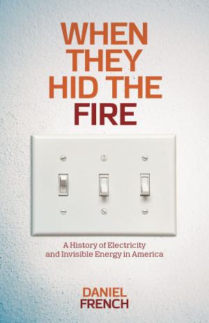 Cover of the book When They Hid the Fire by Amy J. Wan