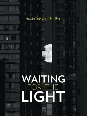 Cover of the book Waiting for the Light by Peter Meinke