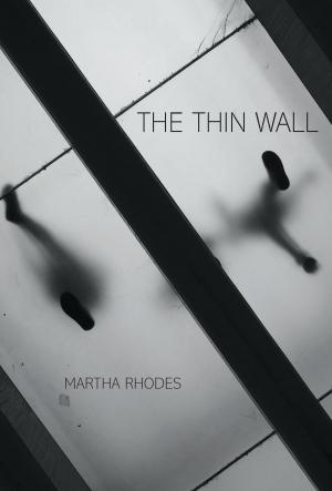 Cover of the book The Thin Wall by John Hodgen