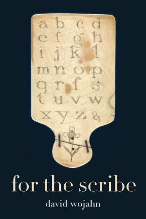 Cover of the book For the Scribe by Elizabeth Garcia