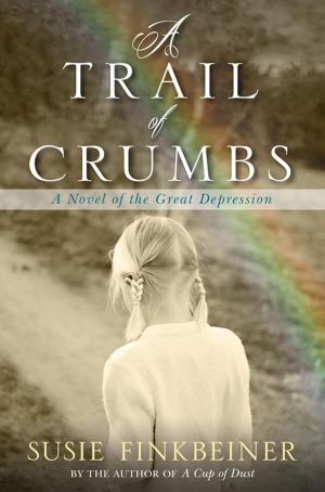 Cover of the book A Trail of Crumbs by Marissa Shrock