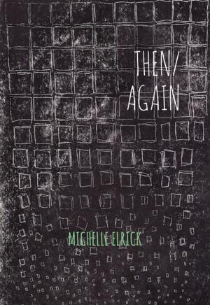 Cover of the book then/again by Lisa Baile