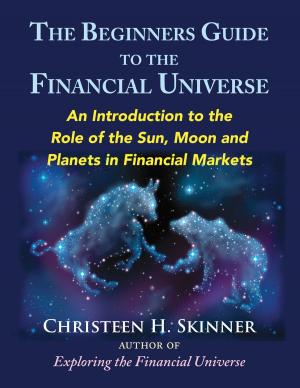 bigCover of the book The Beginners Guide to the Financial Universe by 