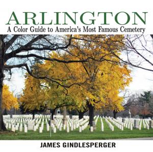 Cover of the book Arlington by Joseph Mills, Danielle Tarmey