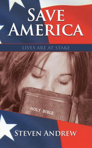 Cover of the book Save America by Stan Baldwin