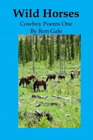 Cover of the book Wild Horses by Margaret Gale