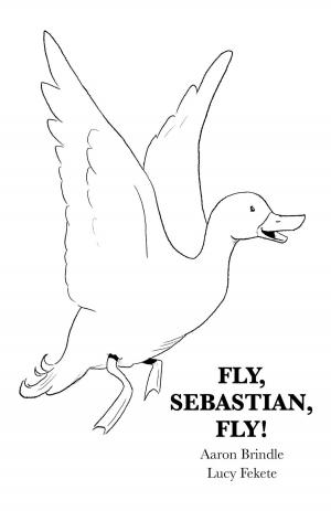 Cover of the book Fly, Sebastian, Fly! by Terry Tumbler