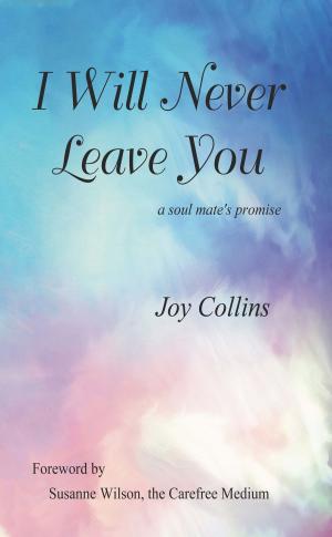 Cover of the book I Will Never Leave You: A Soul Mate's Promise by Dana Kokla