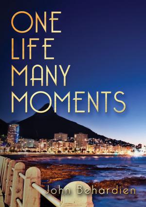 Book cover of One Life Many Moments