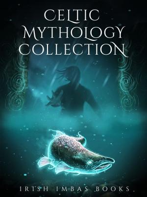 Book cover of Irish Imbas: Celtic Mythology Collection 2017