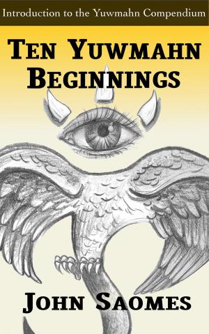 Book cover of Ten Yuwmahn Beginnings