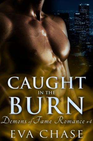 bigCover of the book Caught in the Burn by 