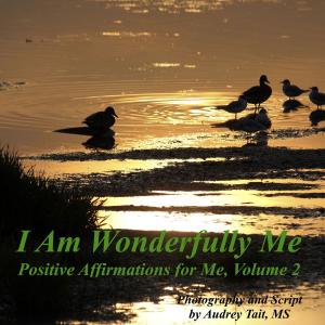 Cover of the book I Am Wonderfully Me by Tony A Gaskins Jr.